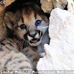 Bimla Yogi Profile Picture