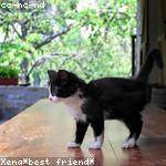 Drishti Mandal Profile Picture